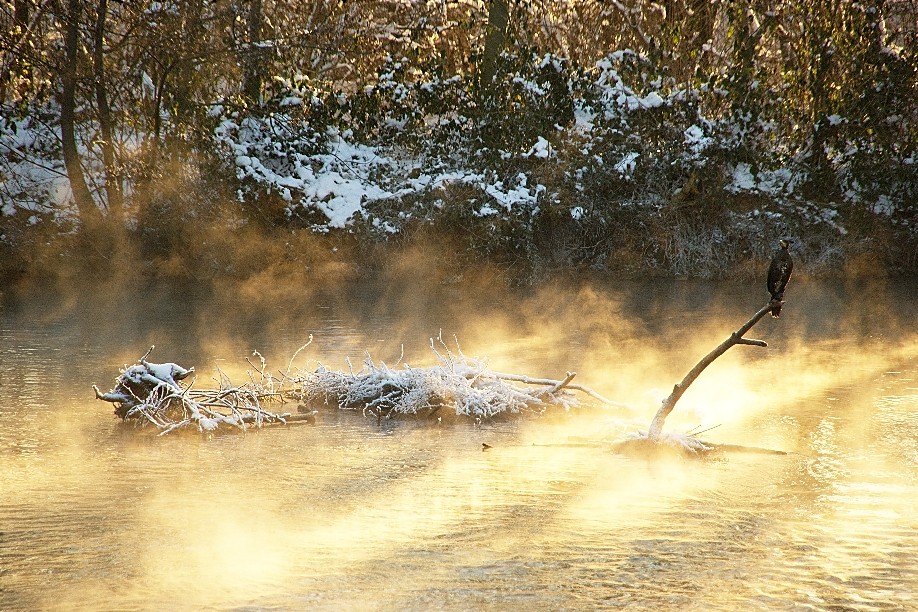 Ein lauschiges Fleckchen im gnadenlosen Frost