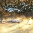 Ein lauschiges Fleckchen im gnadenlosen Frost