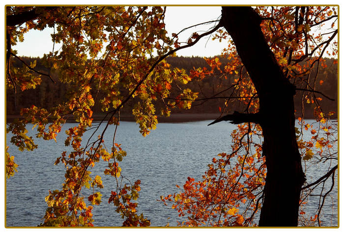 Ein lauschiges Plätzchen am Möhnesee