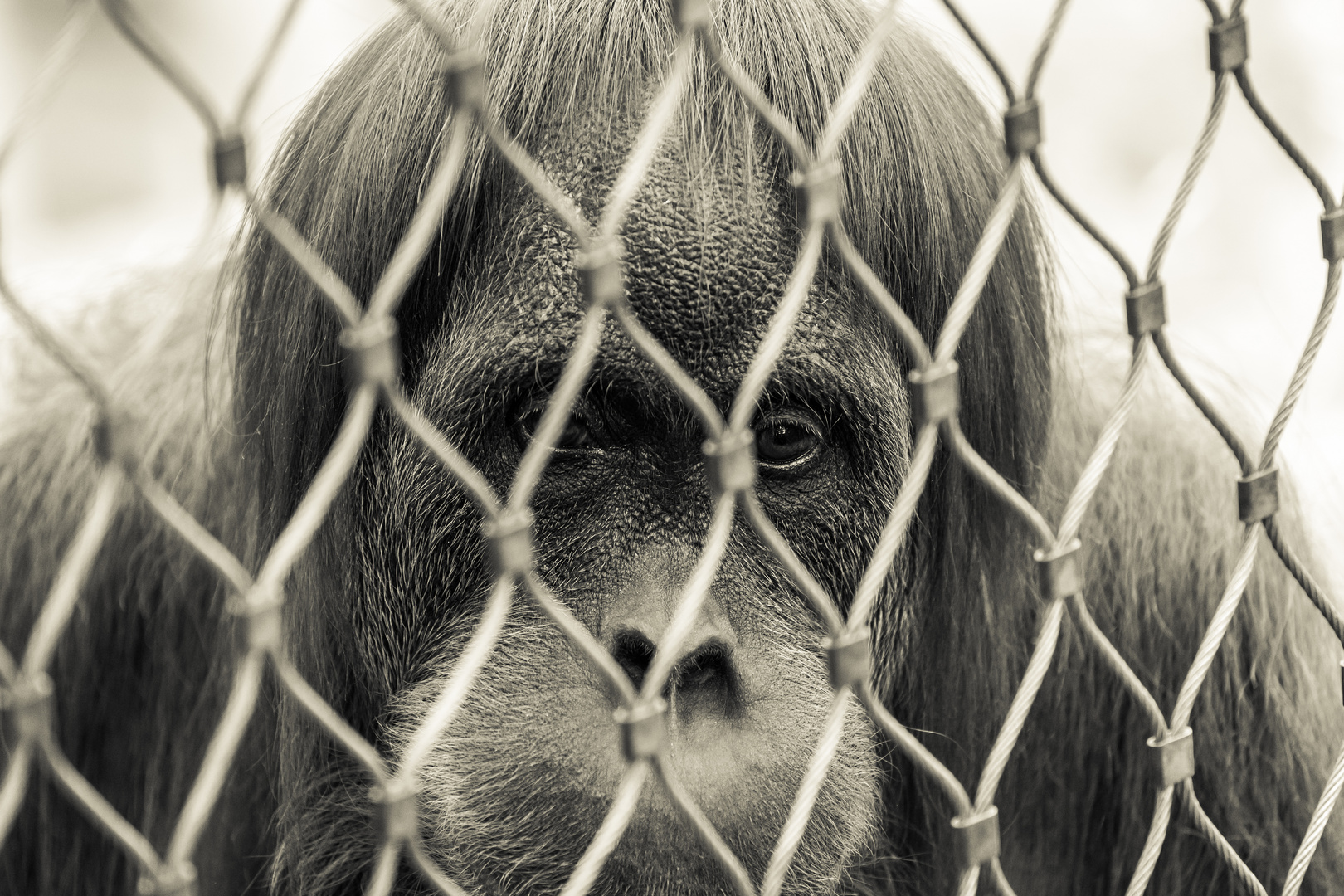 Ein Leben hinter Gittern