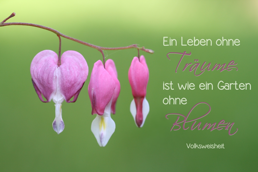 Ein Leben ohne Träume... Foto & Bild Bilder auf