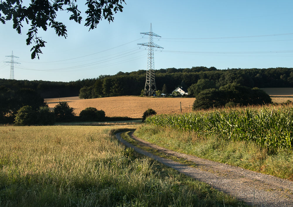 Ein Leben unter Strom