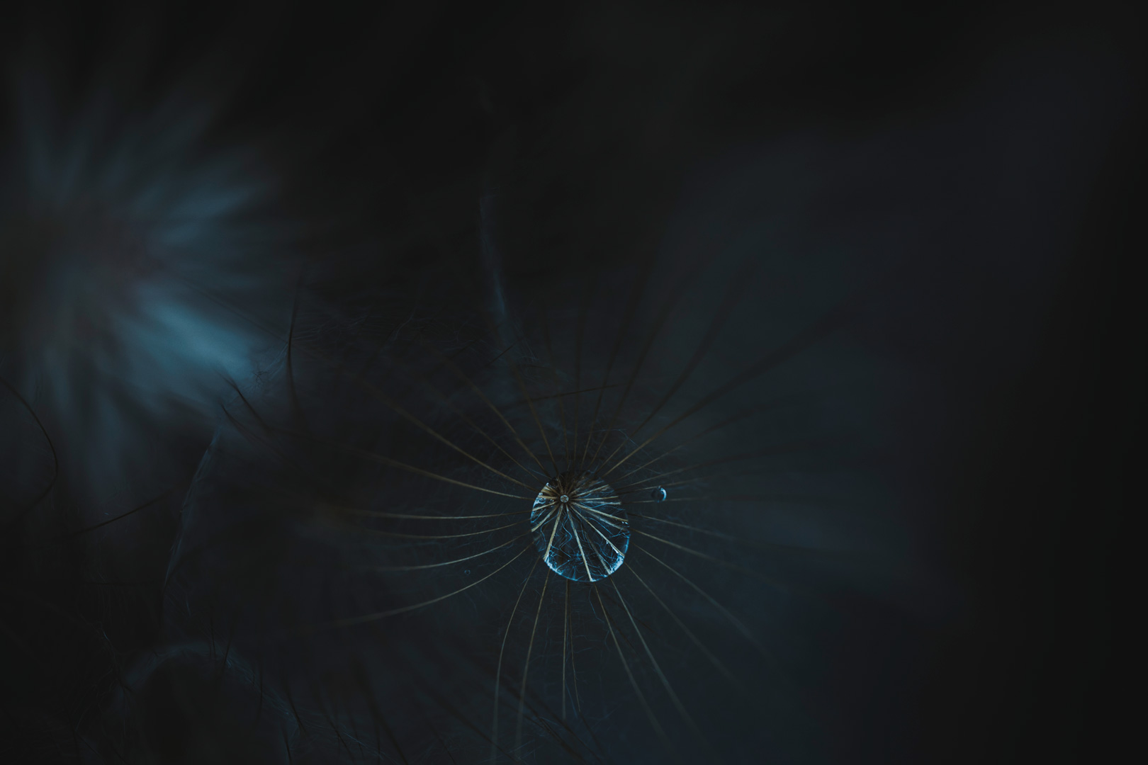 Ein Leises Foto & Bild art, natur, kunst Bilder auf