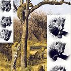 Ein Leopard auf Düsternbrook (Fotomontage)