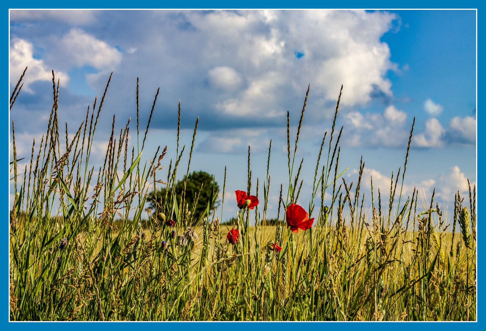 Ein letzter Anblick...