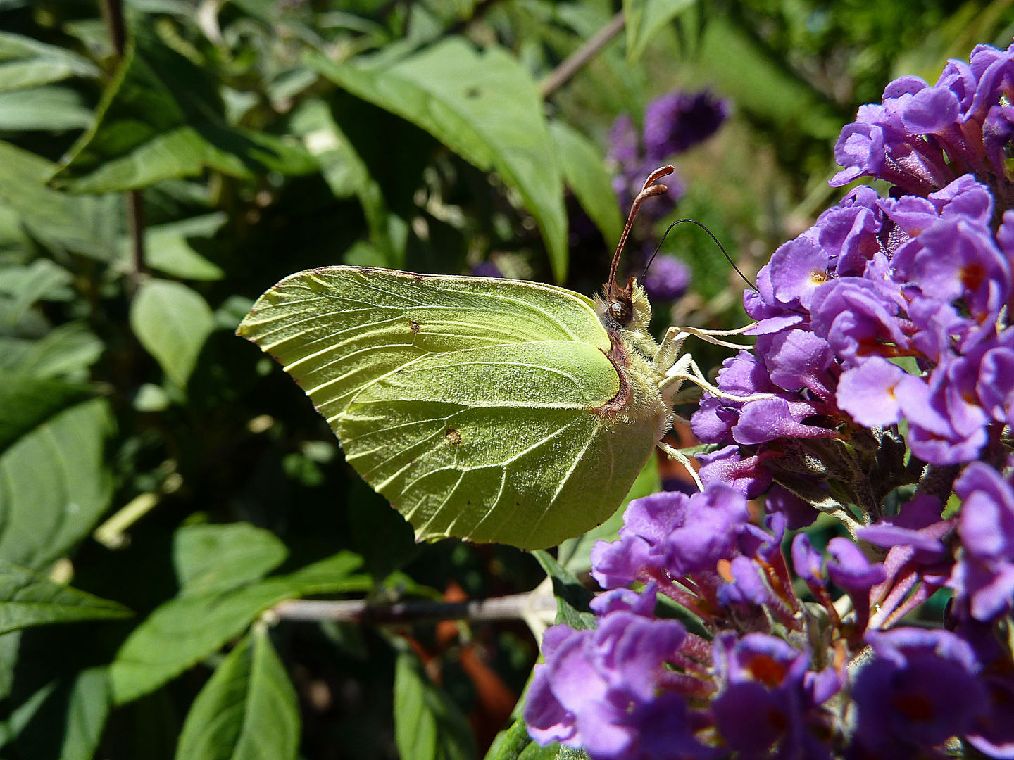 Ein letzter Besuch...