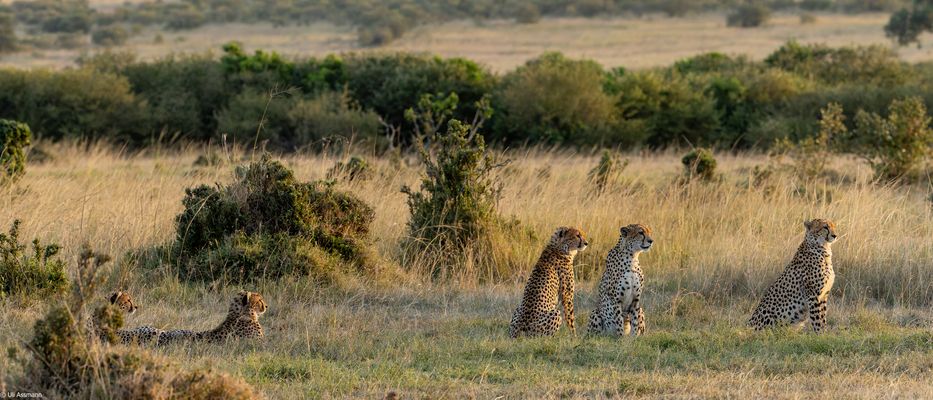 Ein letzter Blick......