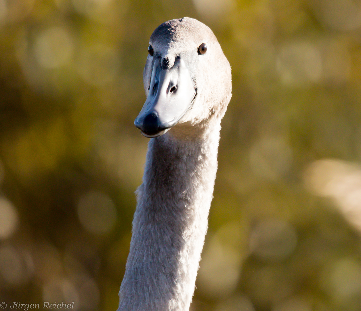 Ein letzter Blick..