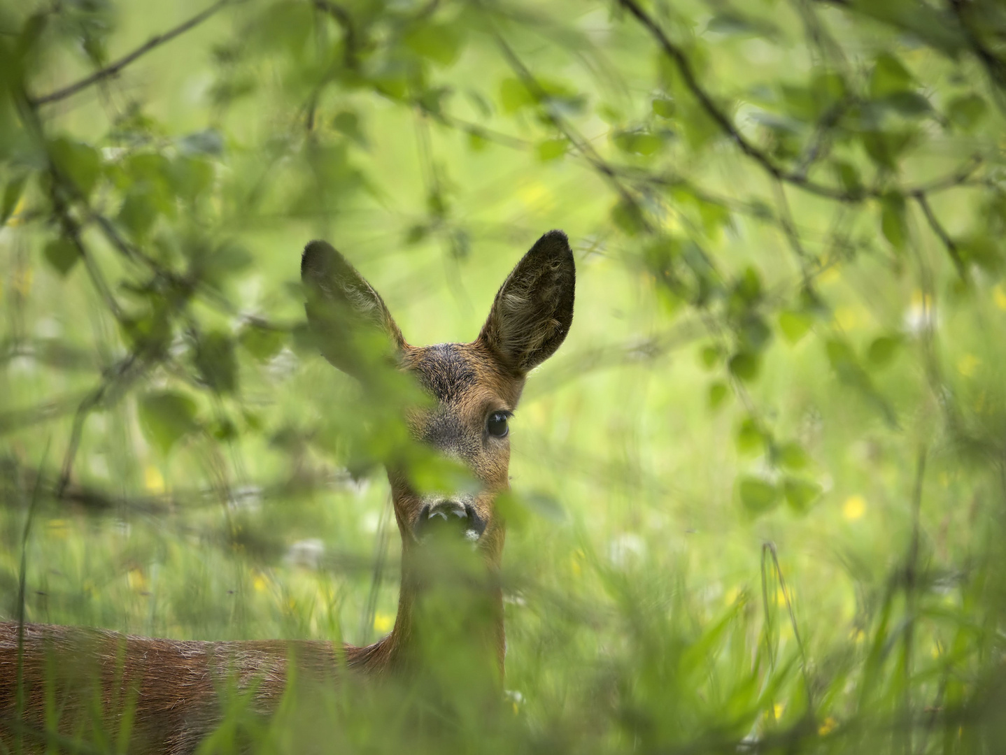 ein letzter Blick ...