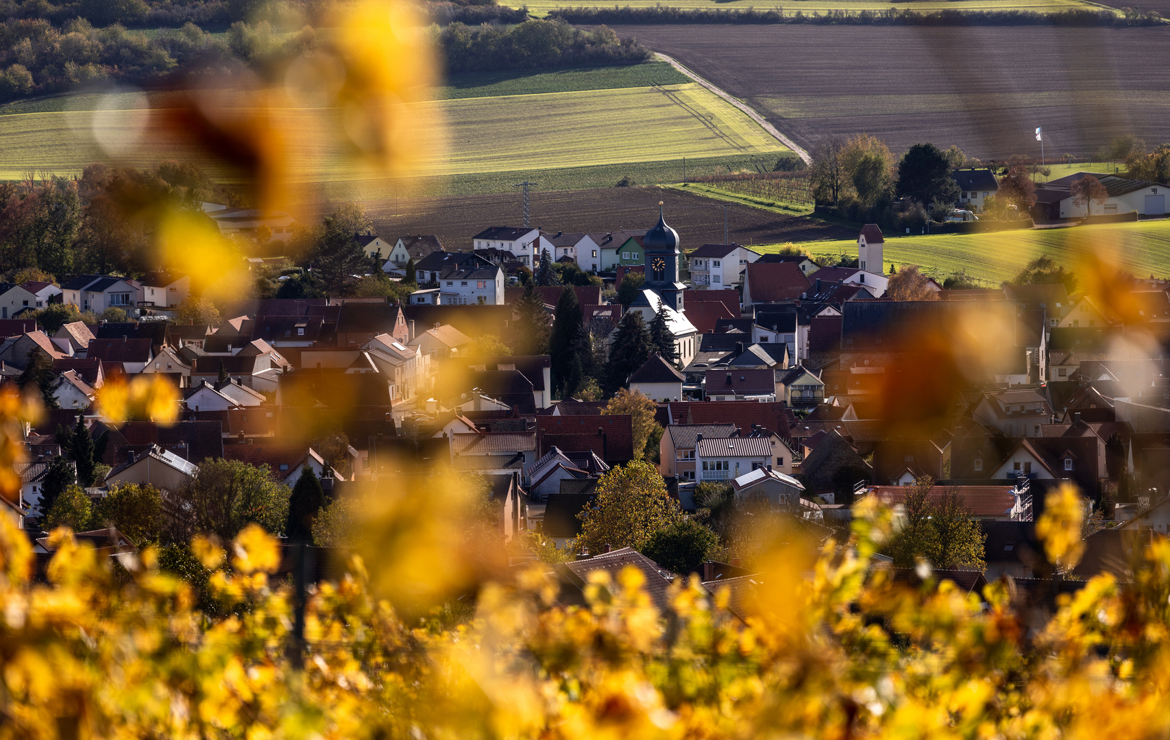 Ein letzter Blick