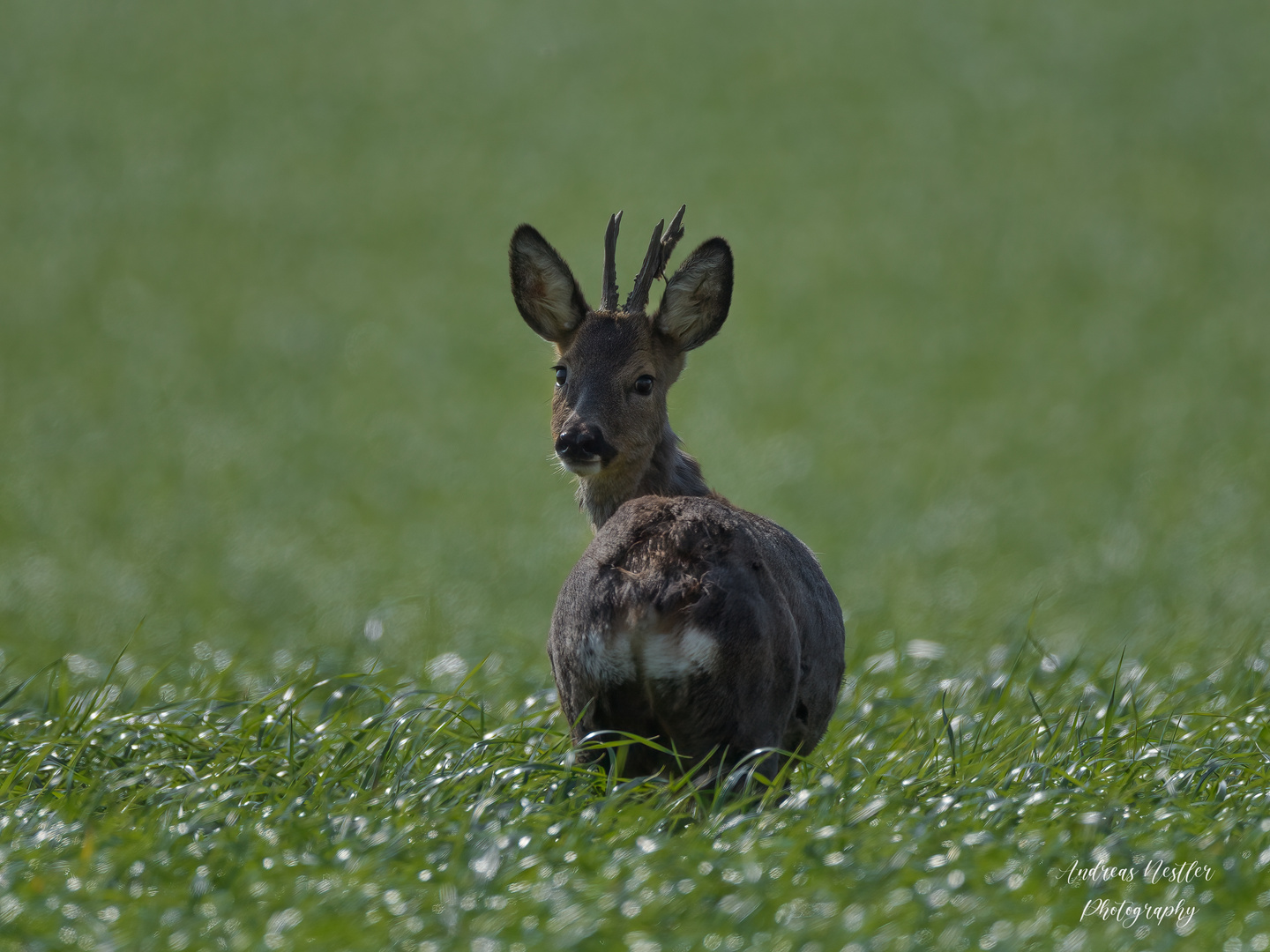 ein letzter Blick...