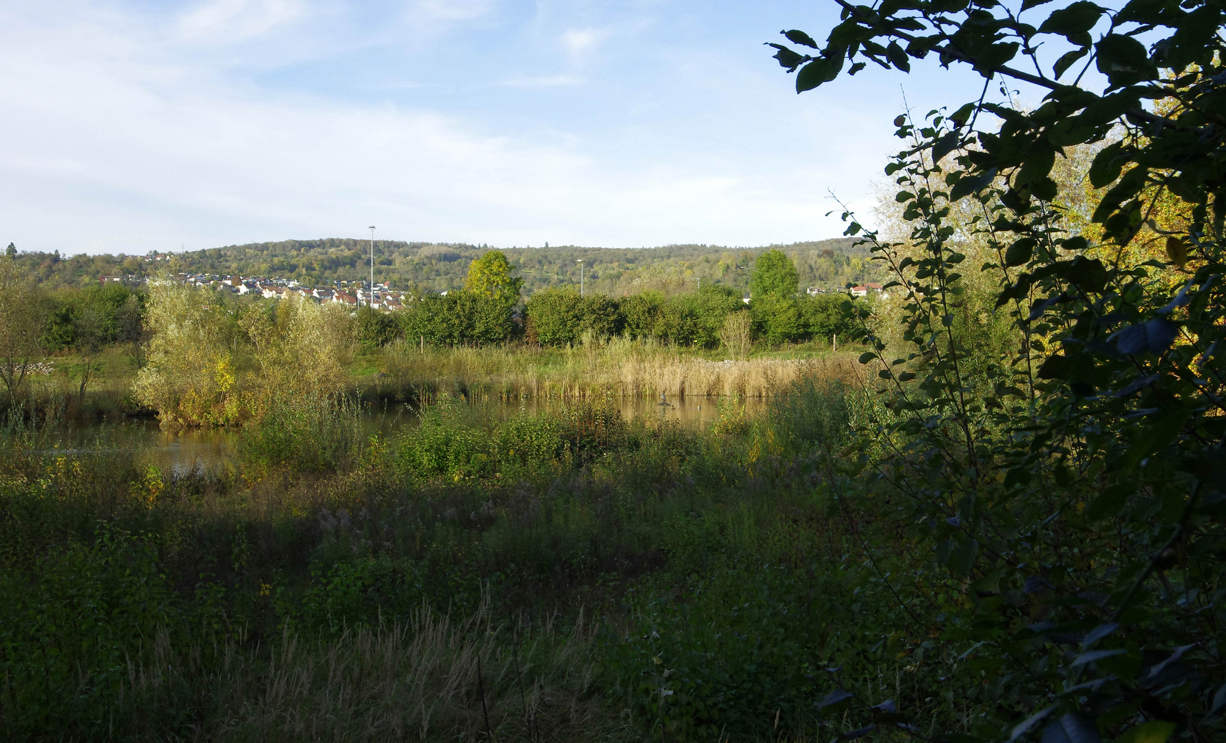 ..ein letzter Blick auf das Biotop