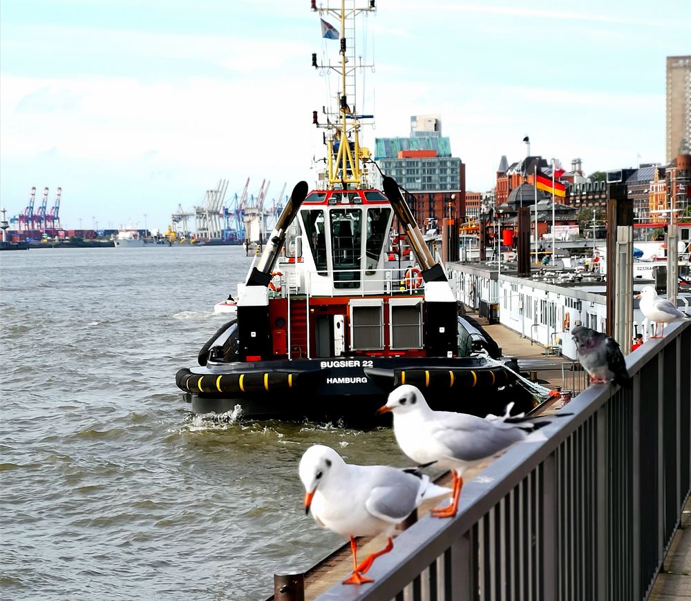 ein letzter Blick auf den Hafen