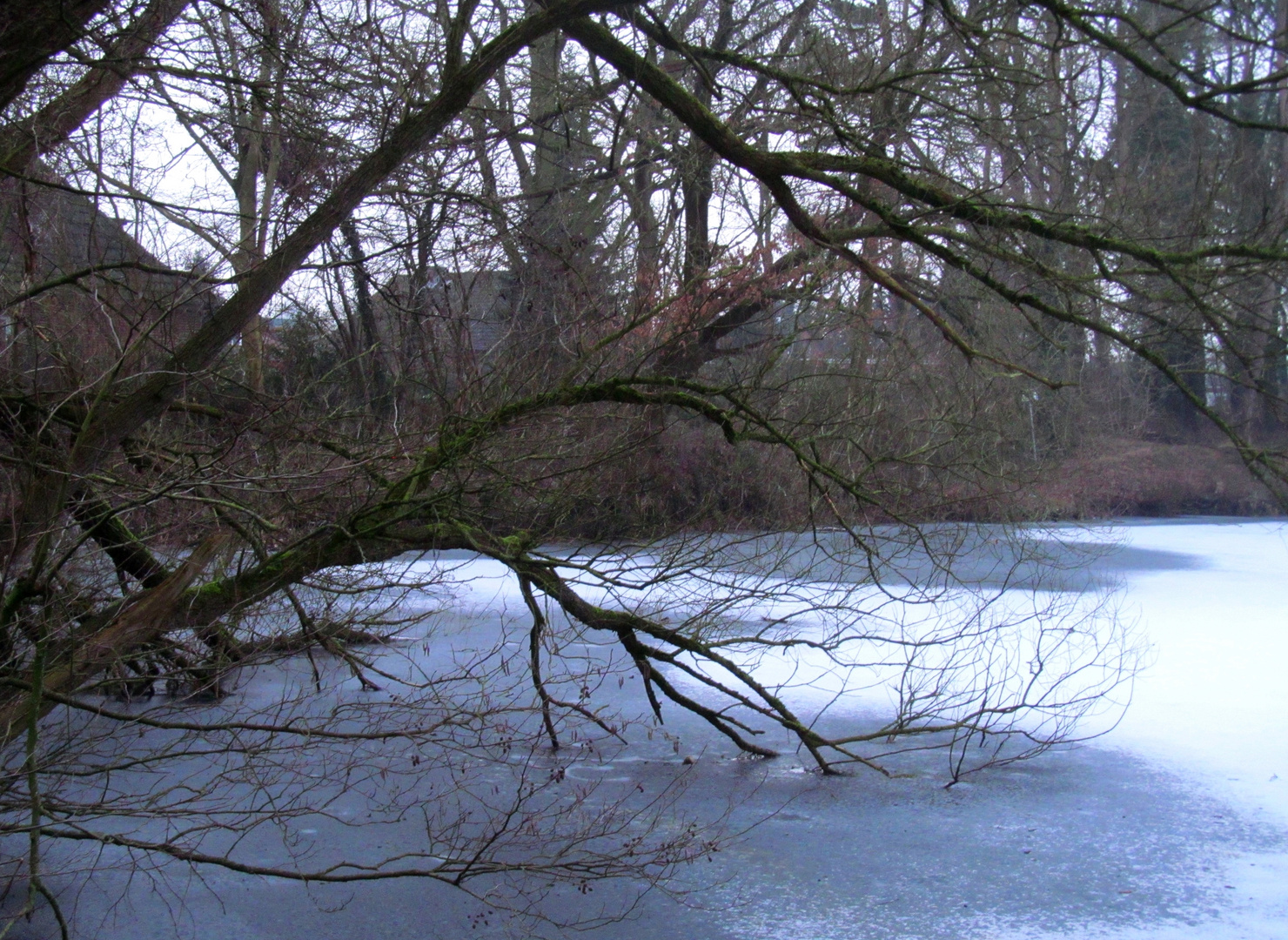 ein letzter Blick auf den See ...