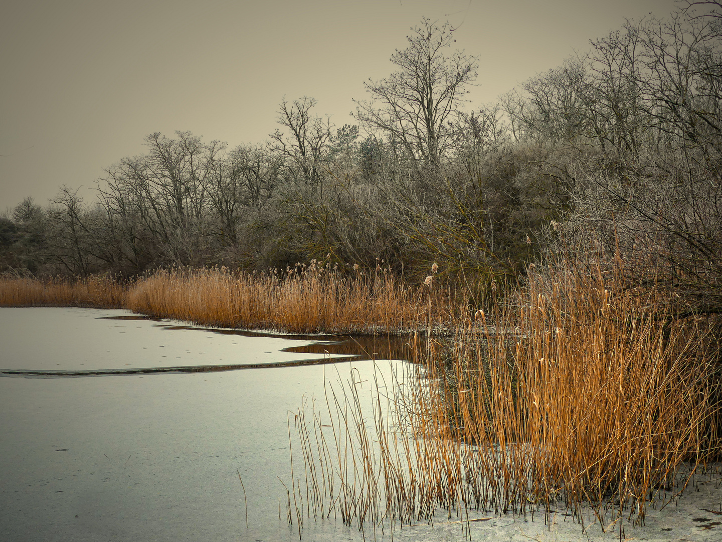 Ein letzter Blick auf den Winter