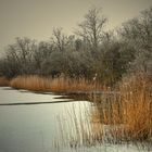 Ein letzter Blick auf den Winter