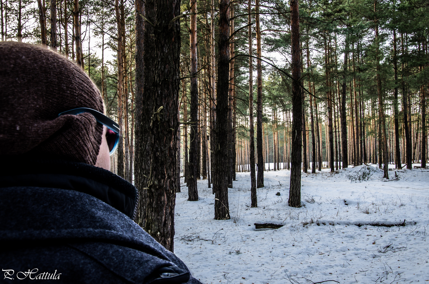 Ein letzter Blick auf den Winter BEVOR ER GEHT!!!!!!!!