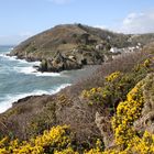 Ein letzter Blick auf Polperro