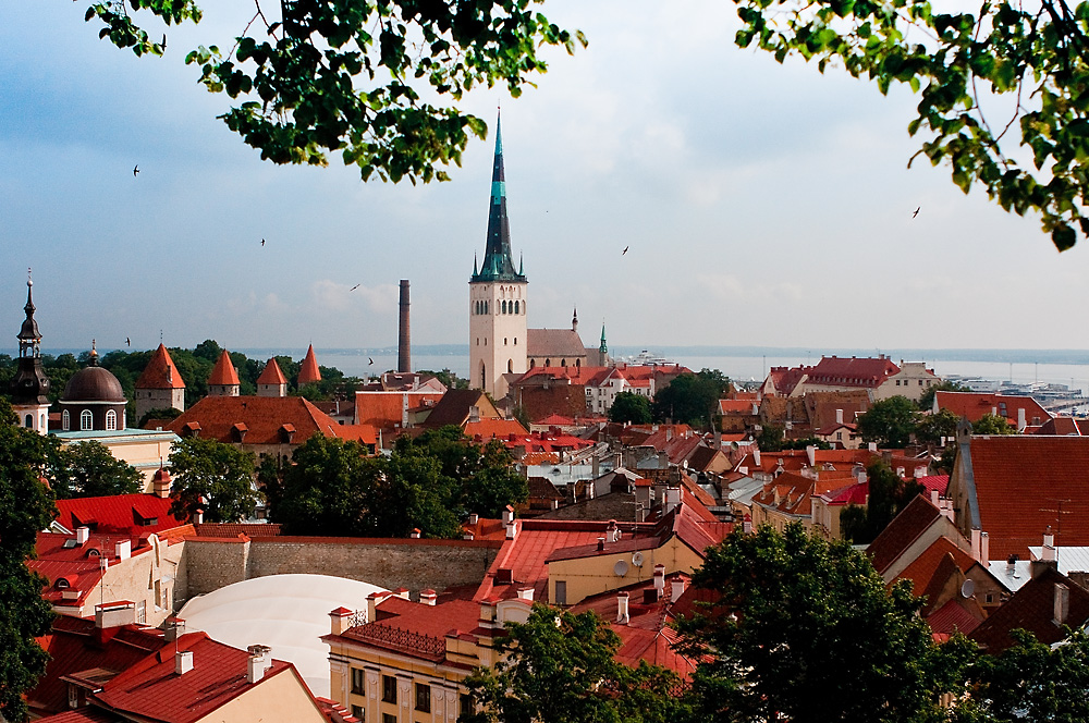 Ein letzter Blick auf Tallinn