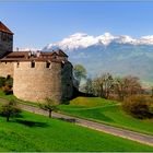 ... ein letzter Blick auf Vaduz ...