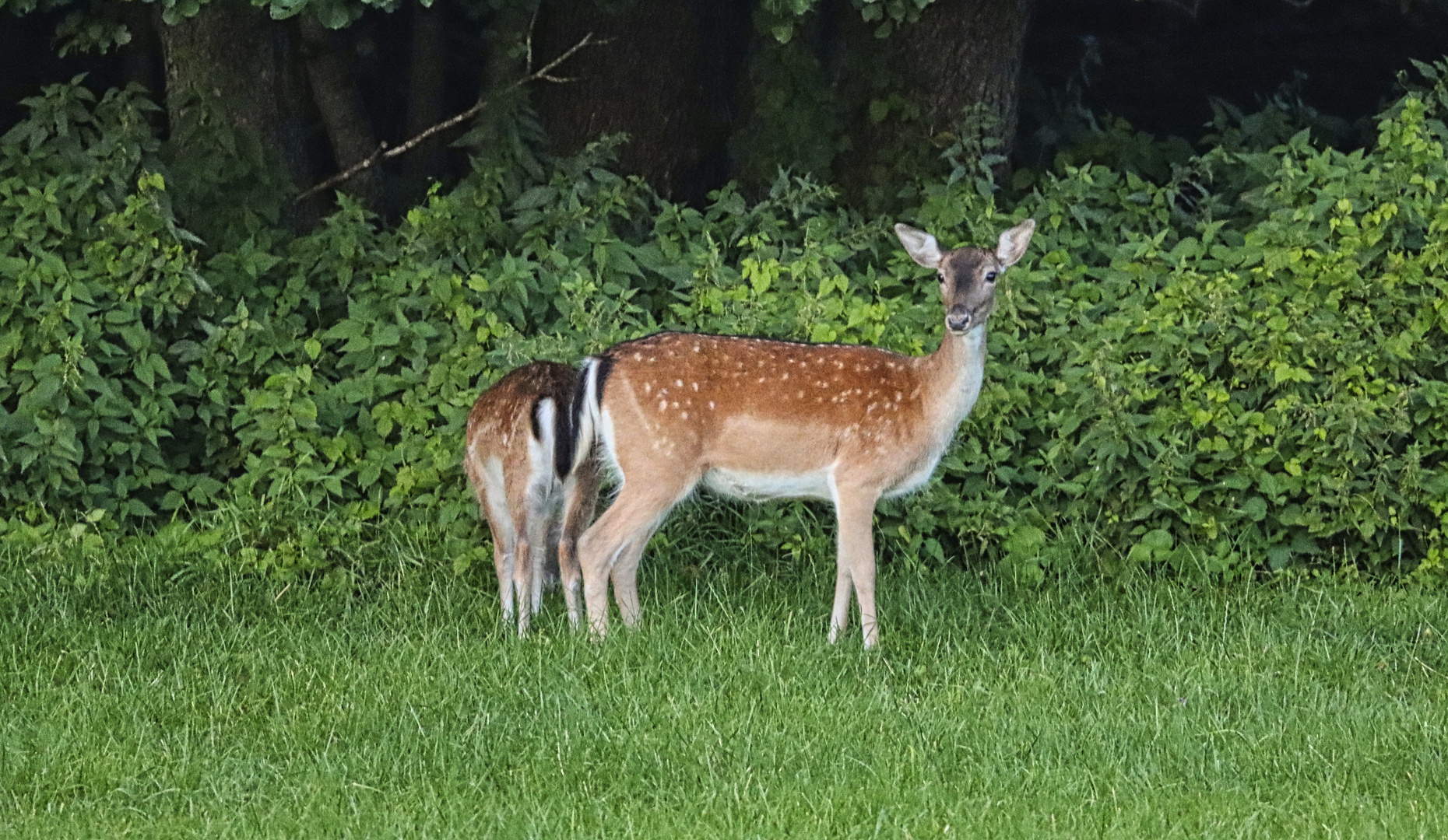 Ein letzter Blick...