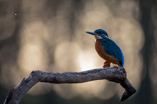 Ein letzter Blick...