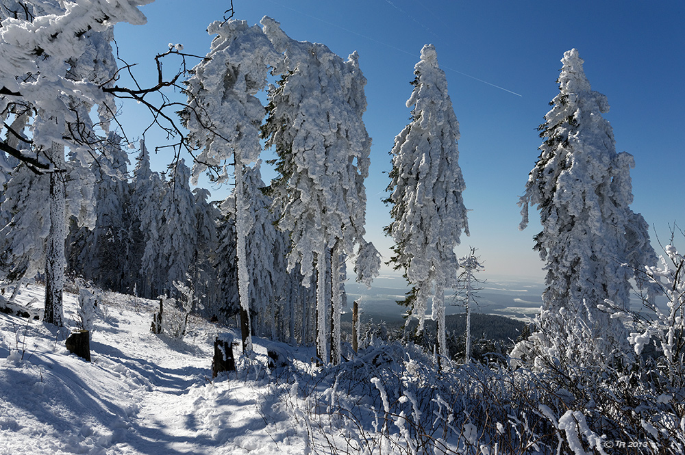 Ein letzter Blick