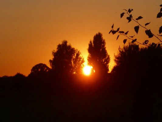 ein letzter "Blick" dann ist sie fort