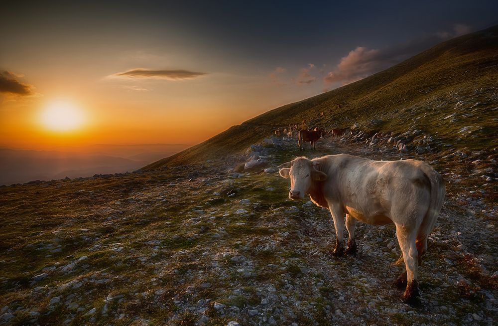 Ein letzter Blick noch zum Fotografen