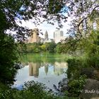 Ein letzter Gang durch den Central Park