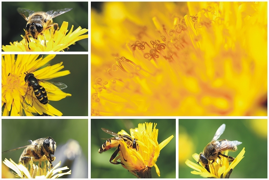 Ein letzter Gruß an den Sommer