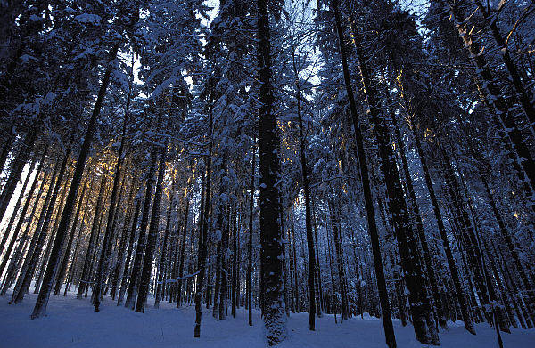 Ein letzter Gruß an den Winter