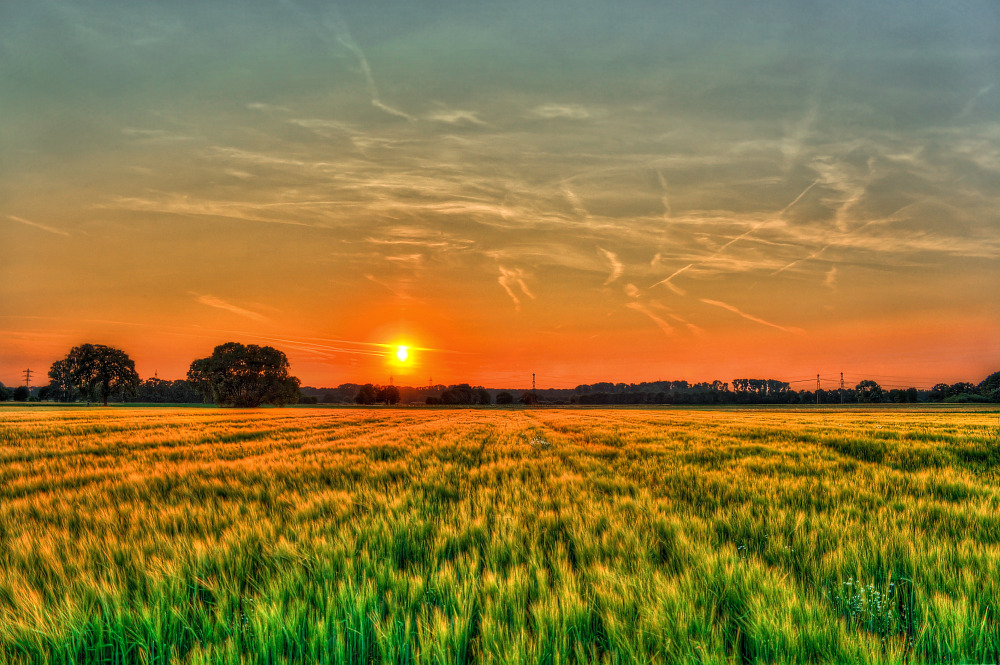 Ein letzter Gruß an die liebe Sonne!