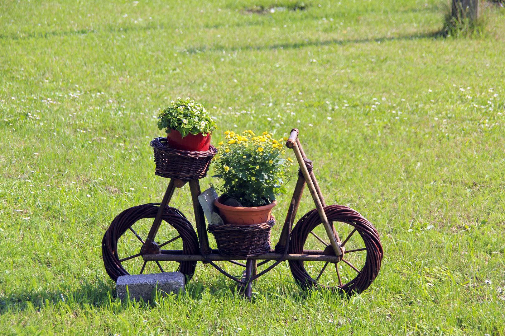 Ein letzter Gruß des Sommers 2011