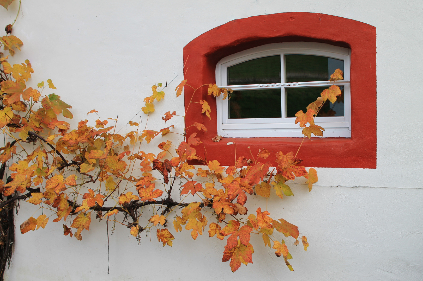 Ein letzter Herbstgruß