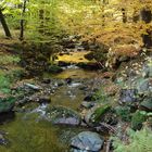 Ein letzter Herbstgruß aus dem schönen Ilsetal.