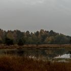 Ein letzter Herbsttag im Gildehauser Venn