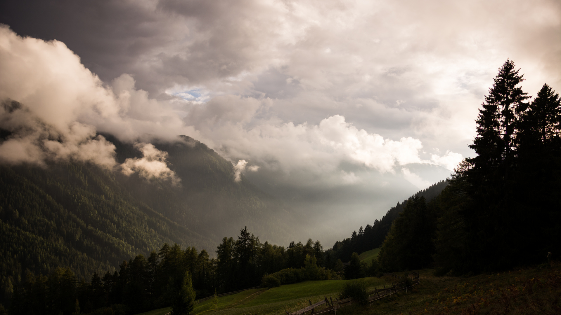 Ein letzter Lichtblick