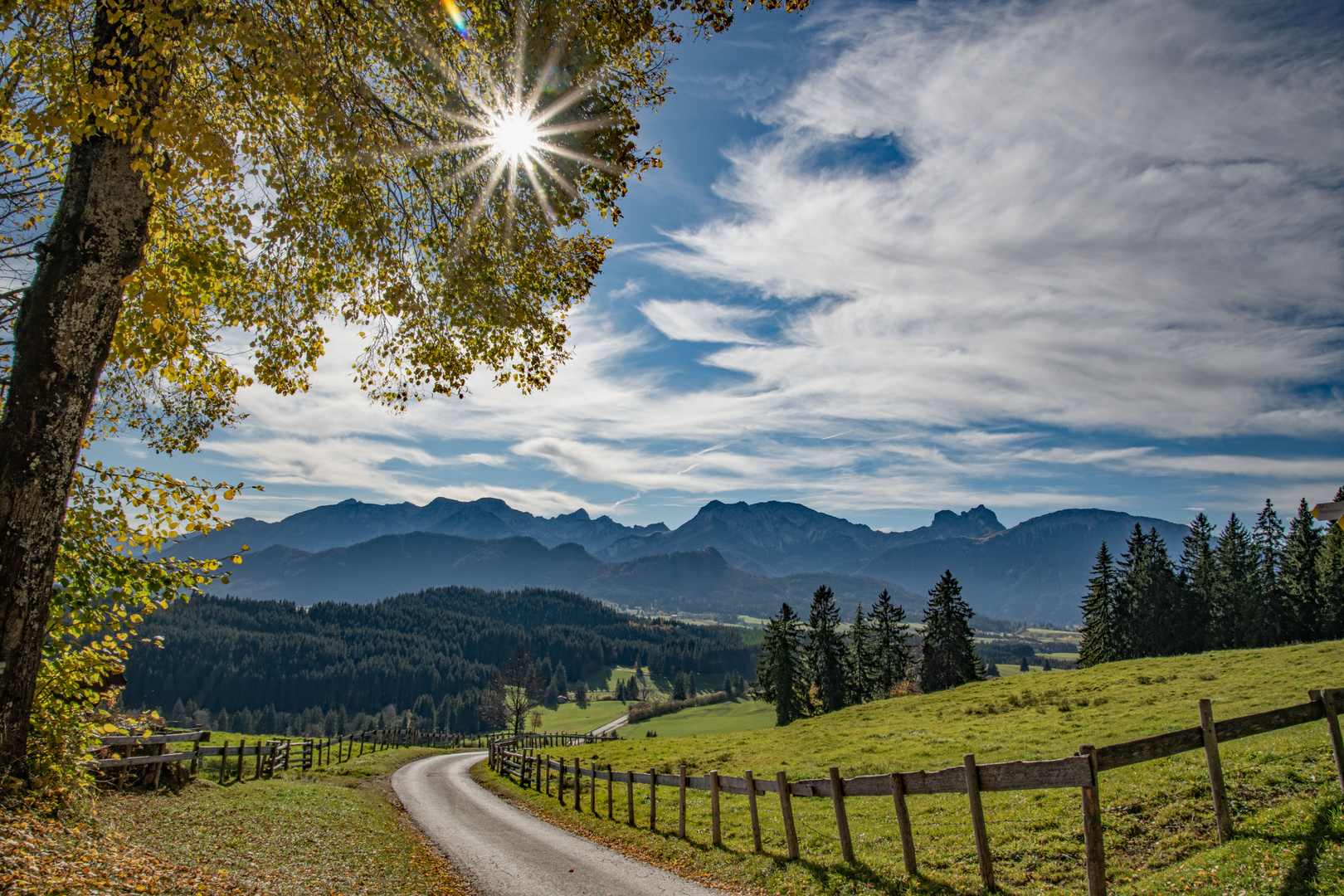 Ein letzter schöner Herbsttag