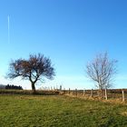 Ein letzter schöner Tag im Herbst....