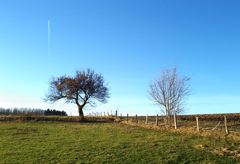 Ein letzter schöner Tag im Herbst....