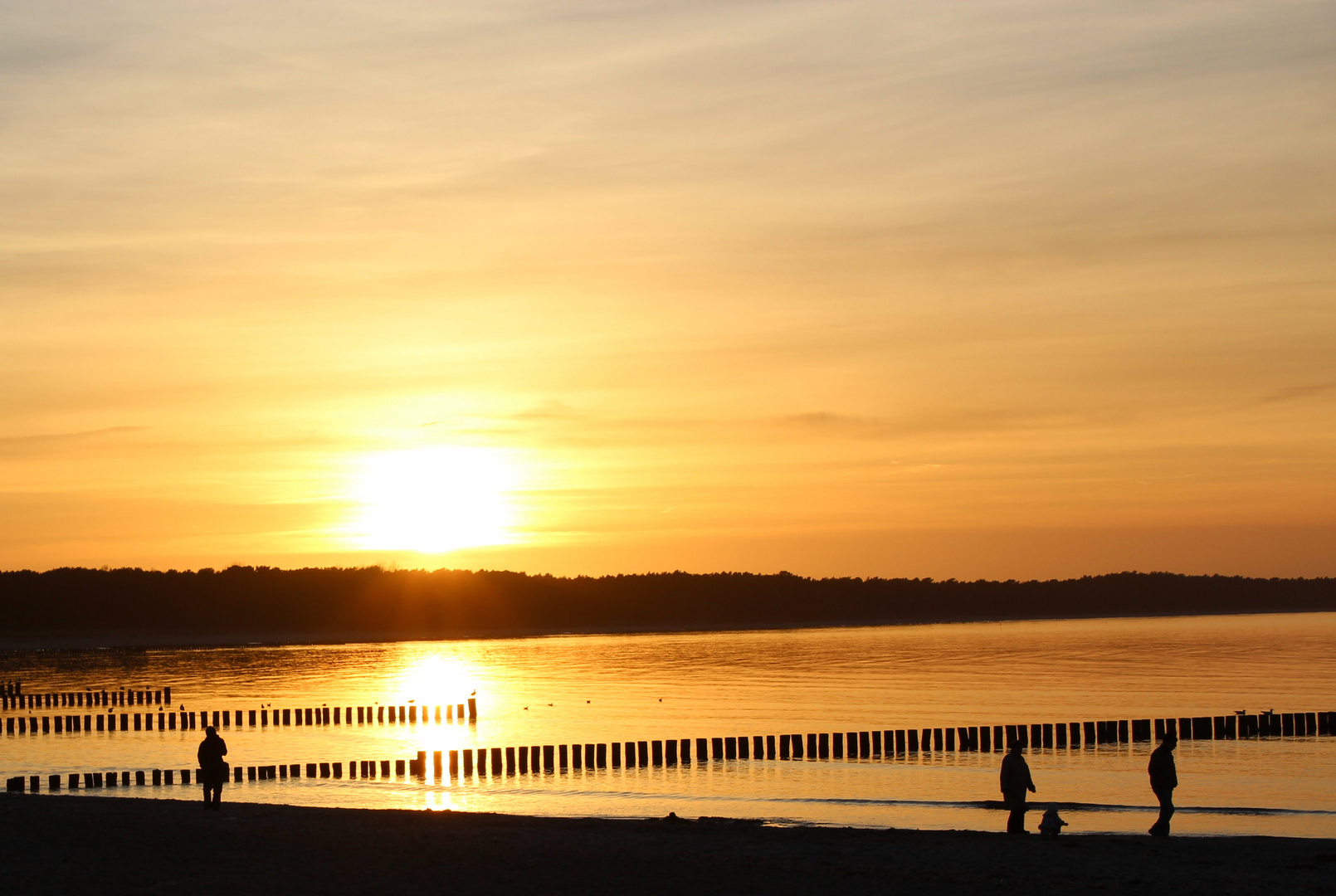 Ein letzter Sommer - Abend!