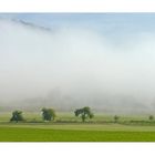 ...ein letzter Spätsommertag nimmt - Licht streuend - Gestalt an...