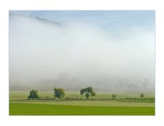 ...ein letzter Spätsommertag nimmt - Licht streuend - Gestalt an...