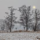 Ein letzter Wintergruß