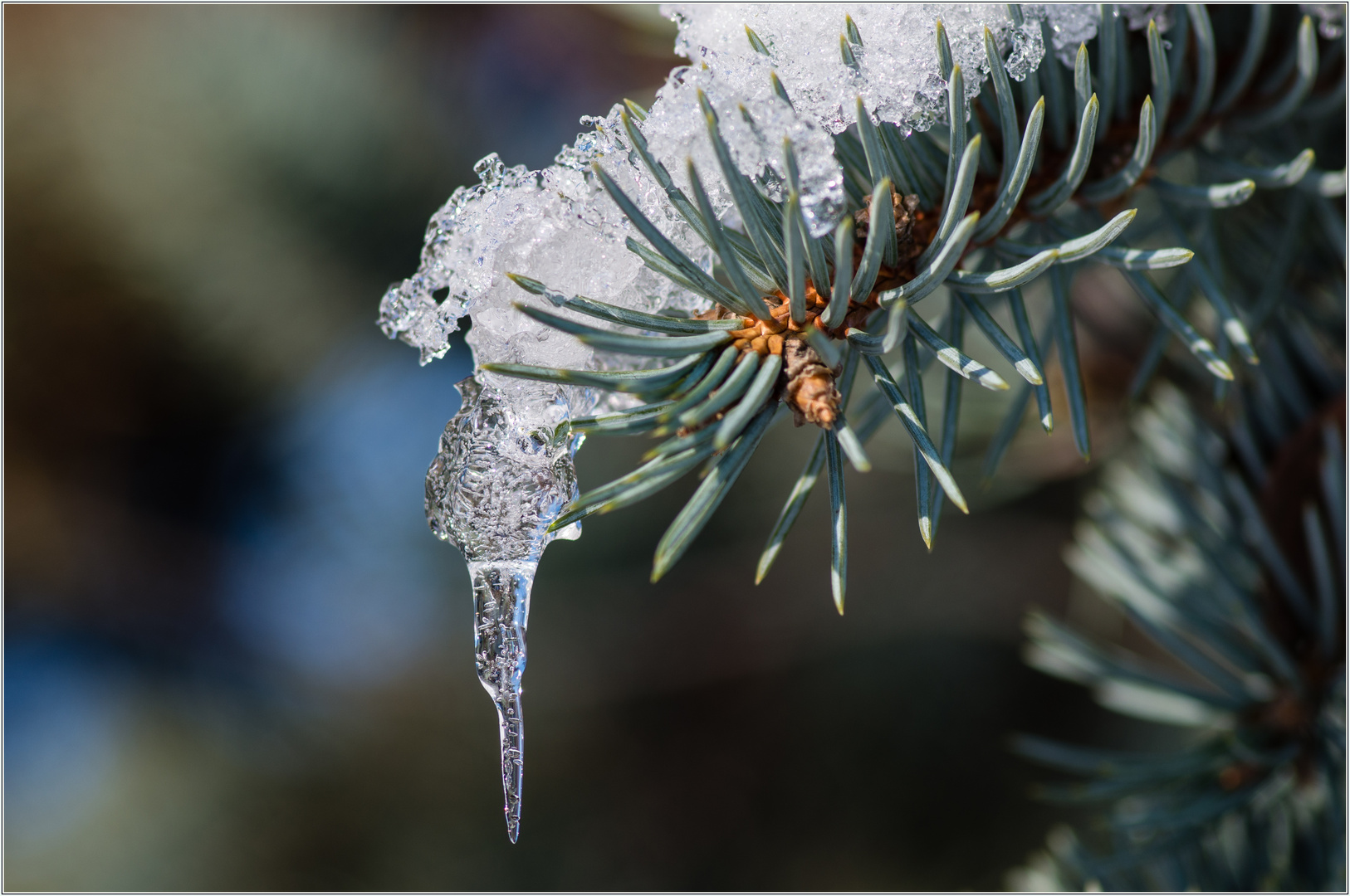 Ein letzter Wintergruß? (2)