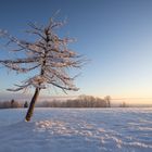 Ein letzter winterlicher Gruß...