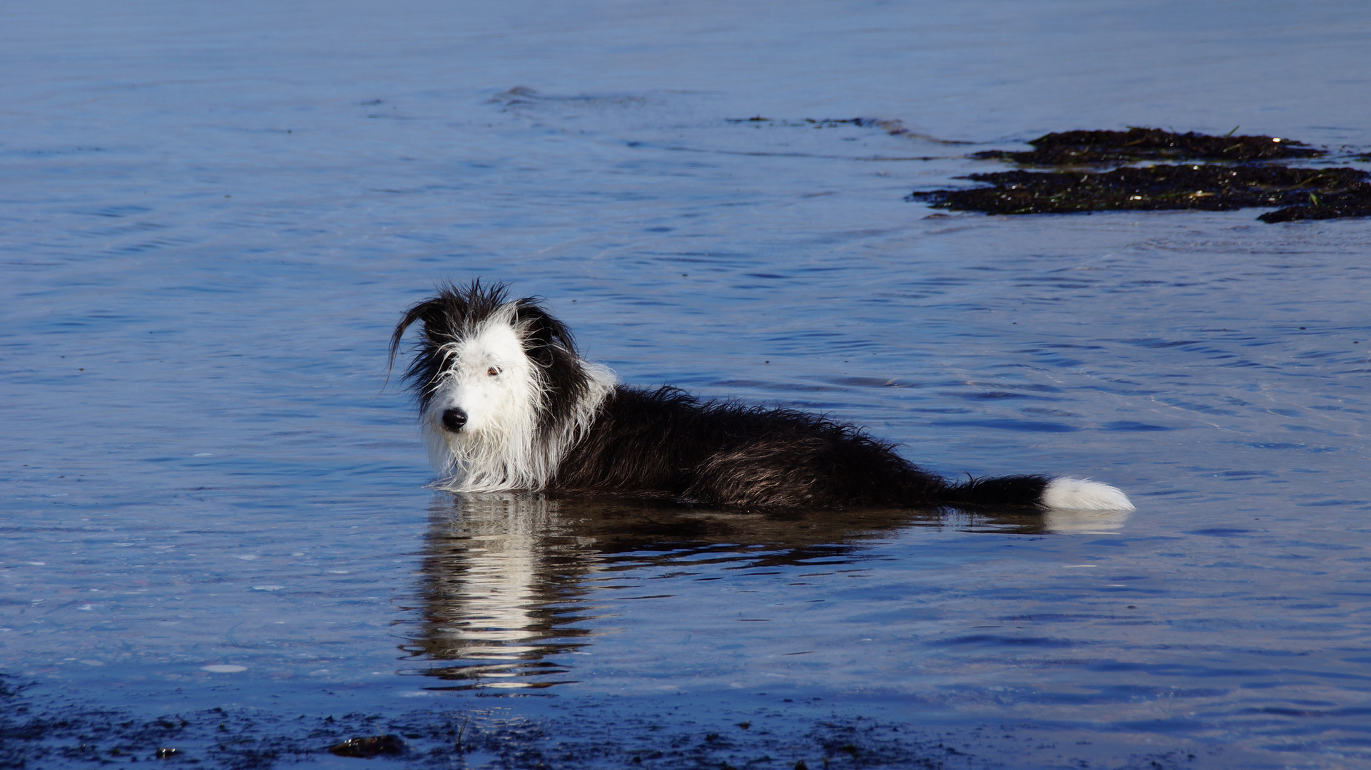 Ein letztes Bad in der Ostsee