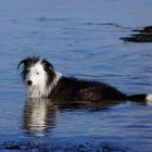 Ein letztes Bad in der Ostsee