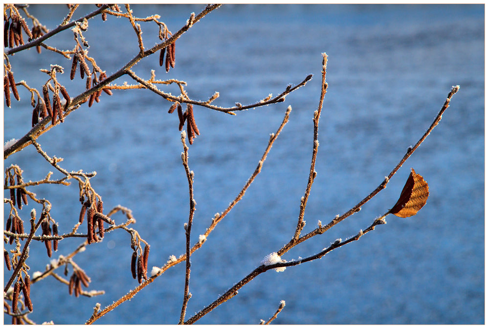 Ein letztes Blatt